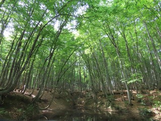25.05.23-6.JPG