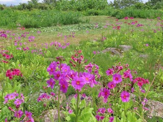 26.06.29-6.JPG