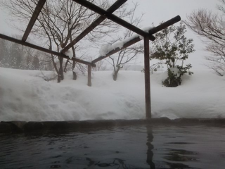 くわどり18.02.07.png