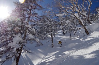 山の友.jpg