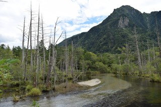 湿原岳沢.jpg