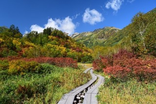 E7B8AEE5B08F17.09.28E6A082E6B1A0EFBC8DEFBC91.jpg