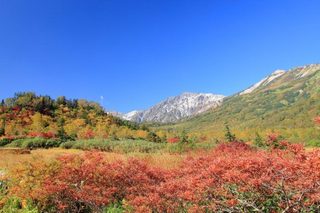 IMG_3396-600x400.jpg