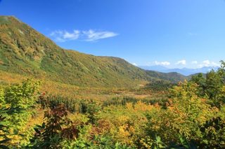 IMG_3463-600x400.jpg